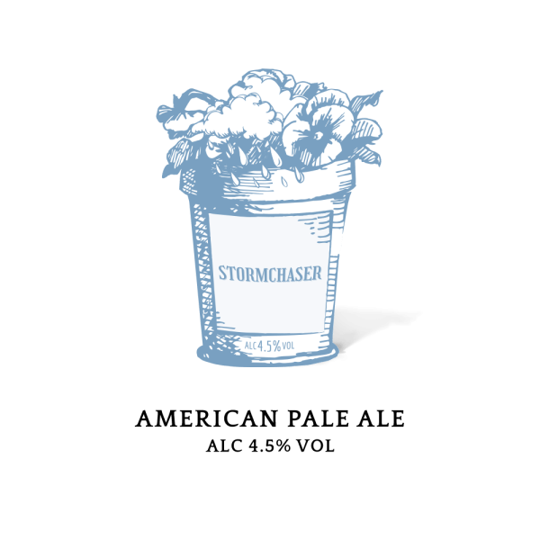 Stormchaser - Box Selection